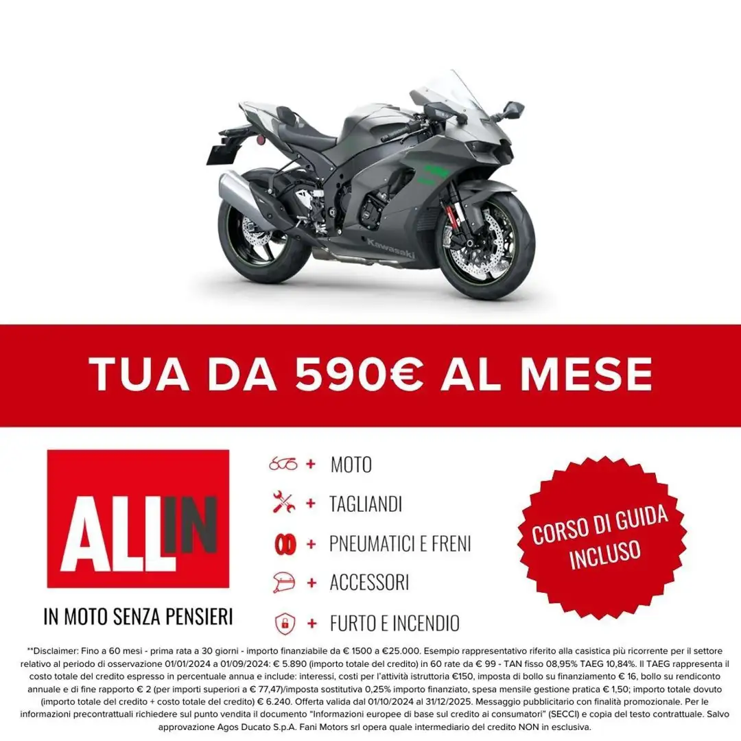 Kawasaki Ninja ZX-10RR R MY 2025 Grey - 2