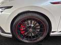 Volkswagen Golf GTI Clubsport 2.0 TSI DSG Akrapovic Scottdale19" Vm... Weiß - thumbnail 6