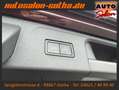 Volkswagen Passat Variant Highline DSG LEDER+NAV FSHzg CAM Rot - thumbnail 23