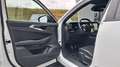 Renault Austral Mild Hybrid 140 Techno Weiß - thumbnail 13