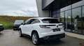 Renault Austral Mild Hybrid 140 Techno Weiß - thumbnail 5