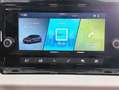 SEAT Ibiza 1.0 TSI S&S Reference XM 95 Azul - thumbnail 15