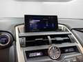 Lexus NX 300h E-Four Business | LED | PDC | Kamera | Sitzheizung Blau - thumbnail 20