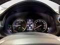 Lexus NX 300h E-Four Business | LED | PDC | Kamera | Sitzheizung Blau - thumbnail 19