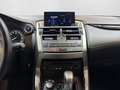 Lexus NX 300h E-Four Business | LED | PDC | Kamera | Sitzheizung Blau - thumbnail 17