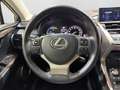 Lexus NX 300h E-Four Business | LED | PDC | Kamera | Sitzheizung Blau - thumbnail 18