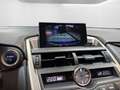 Lexus NX 300h E-Four Business | LED | PDC | Kamera | Sitzheizung Blau - thumbnail 21
