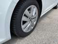 Renault Megane Sporter Blue dCi 115 CV Business AUTOCARRO N1 Bianco - thumbnail 9