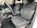 Renault Megane Sporter Blue dCi 115 CV Business AUTOCARRO N1 Bianco - thumbnail 12