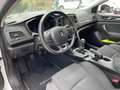 Renault Megane Sporter Blue dCi 115 CV Business AUTOCARRO N1 Bianco - thumbnail 13