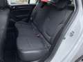 Renault Megane Sporter Blue dCi 115 CV Business AUTOCARRO N1 Bianco - thumbnail 14