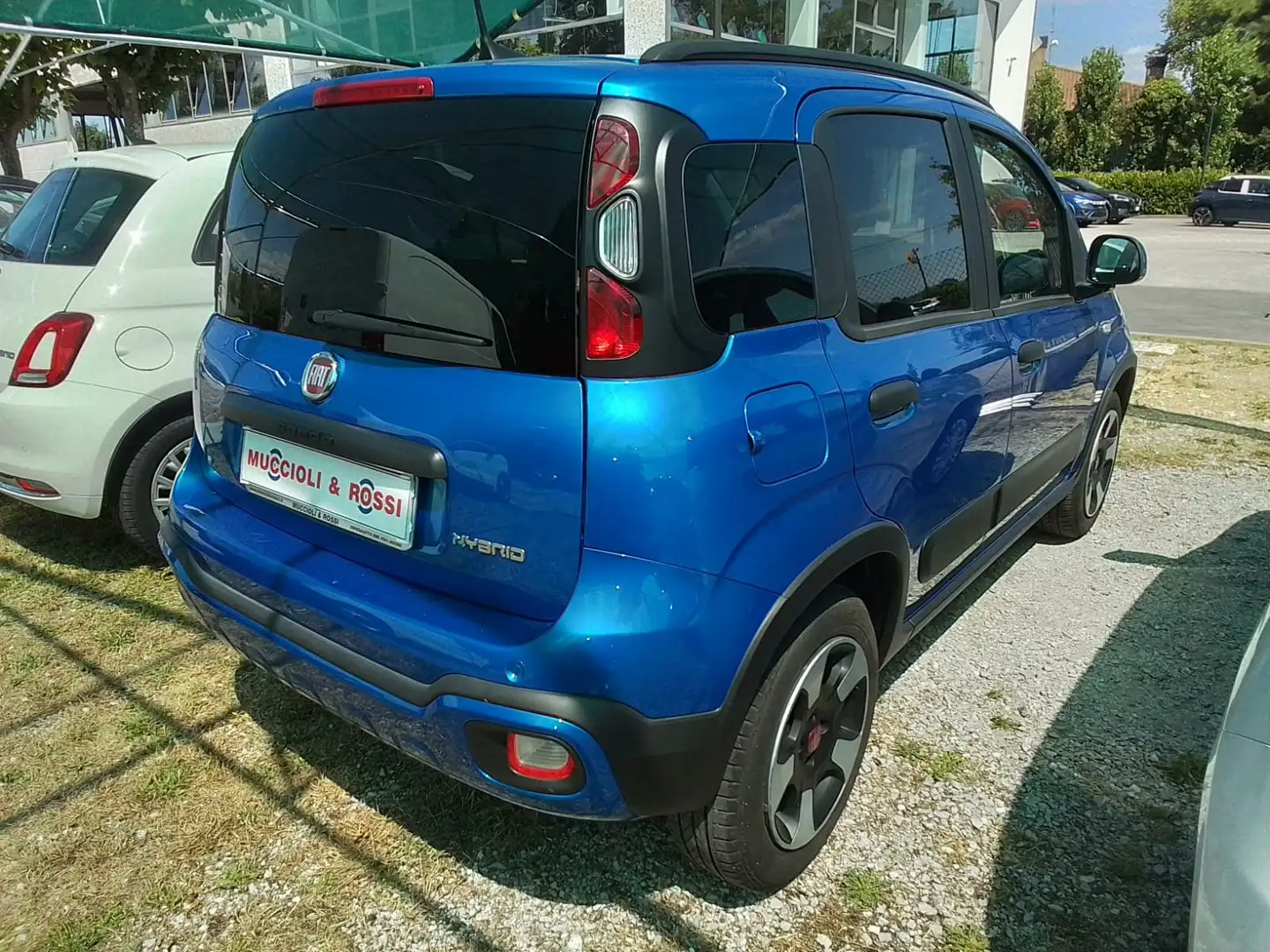 Fiat Panda Cross 1.0 Hybrid 70cv Blu/Azzurro - 2