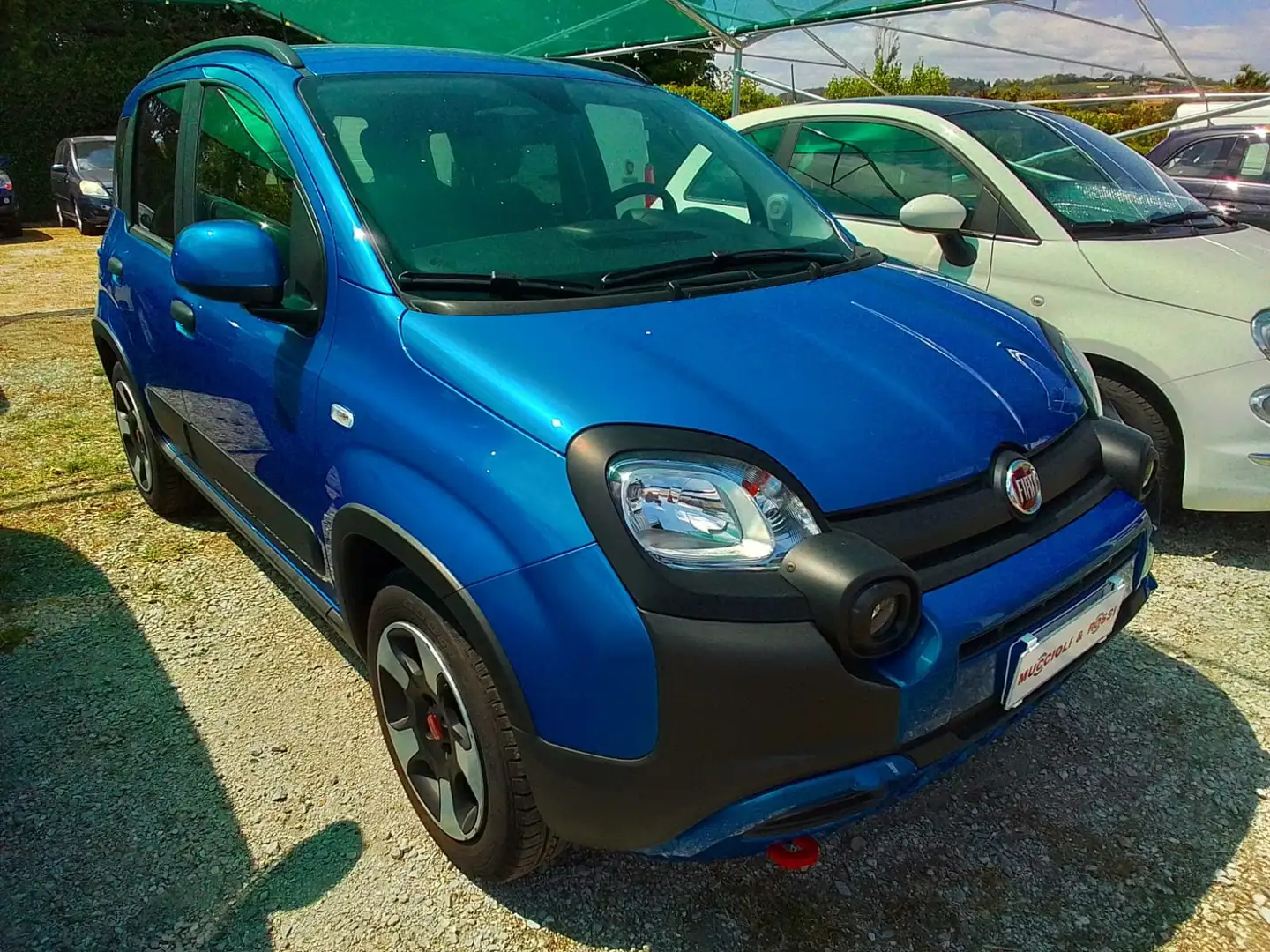 Fiat Panda Cross 1.0 Hybrid 70cv Blu/Azzurro - 1