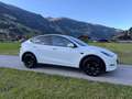 Tesla Model Y Model Y Long Range AWD 75kWh Белый - thumbnail 2