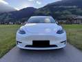 Tesla Model Y Model Y Long Range AWD 75kWh Белый - thumbnail 1
