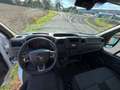 Renault Master Weiß - thumbnail 11