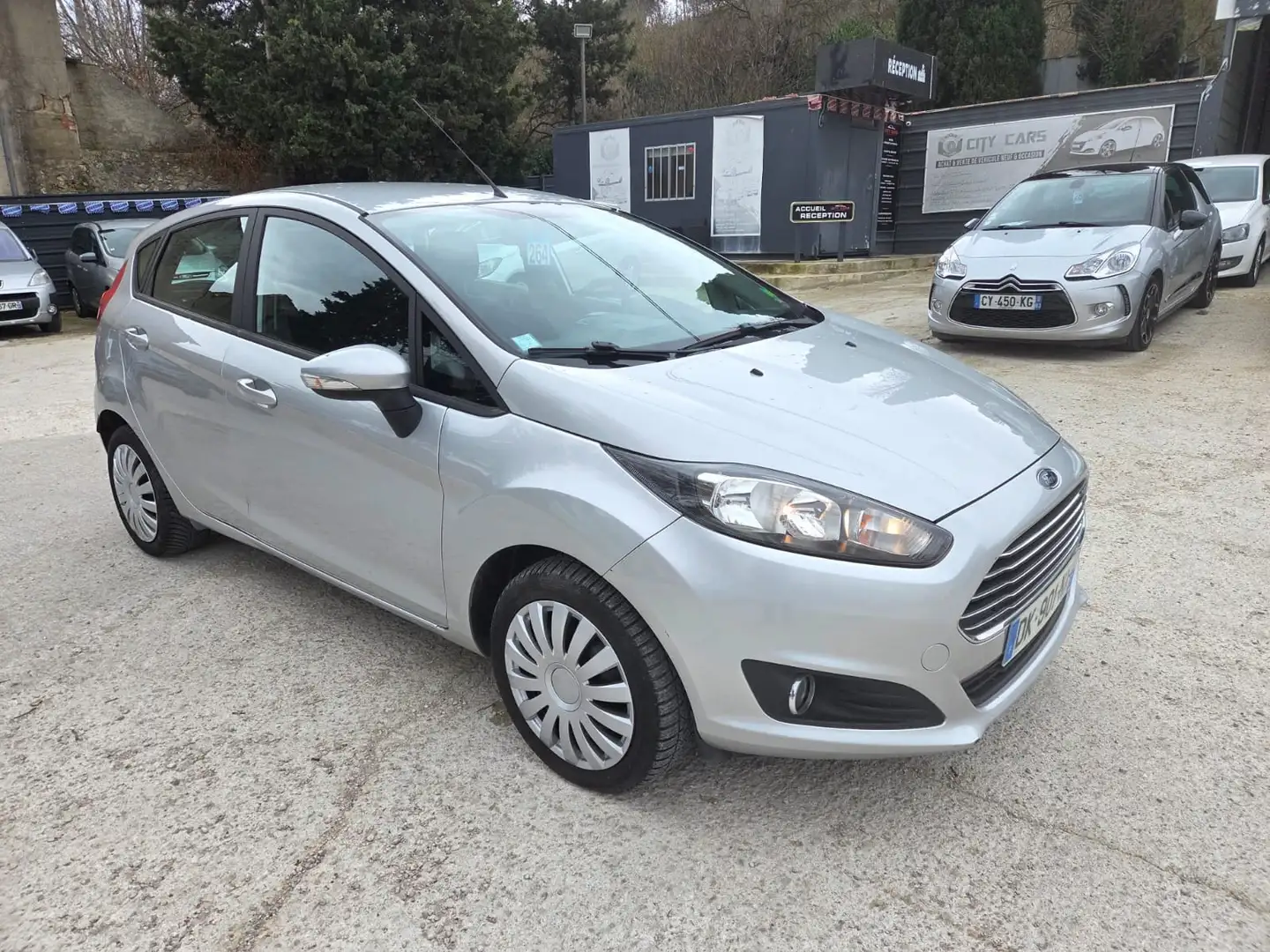 Ford Fiesta Edition Gris - 1