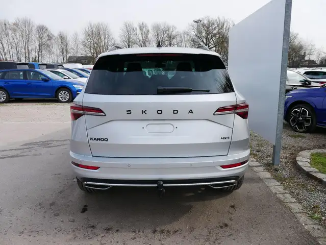 Skoda Karoq view 2