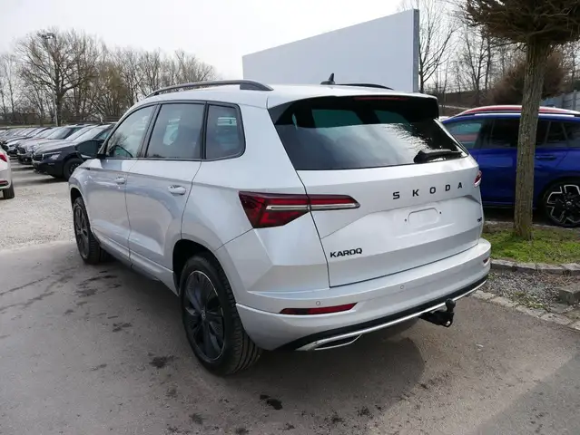 Skoda Karoq view 5