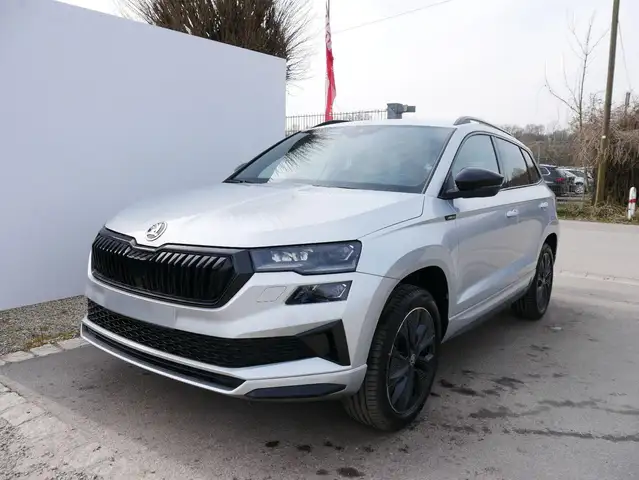 Skoda Karoq main image