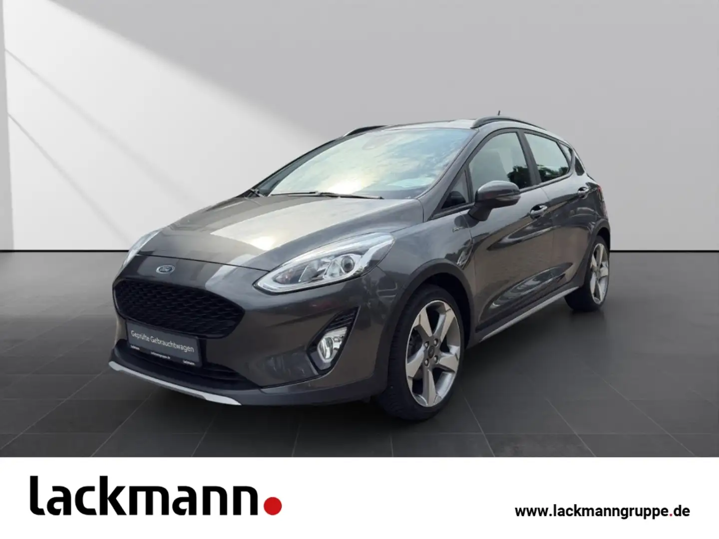 Ford Fiesta Active Plus 1.0 EcoBoost *Navi*Winterp.* Gris - 1