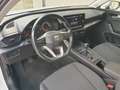 SEAT Leon Leon SP Reference 2,0 TDI Reference AHV Weiß - thumbnail 8