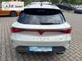 CUPRA Leon VZ 2.0 TSI DSG 4x4 *NAVI*LED*EL.KLAPPE*AHK*LHZ*... Gri - thumbnail 6