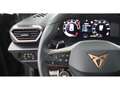 CUPRA Formentor 1.5 eTSI Aut LED RADAR SITZHZG R-CAM Blau - thumbnail 21