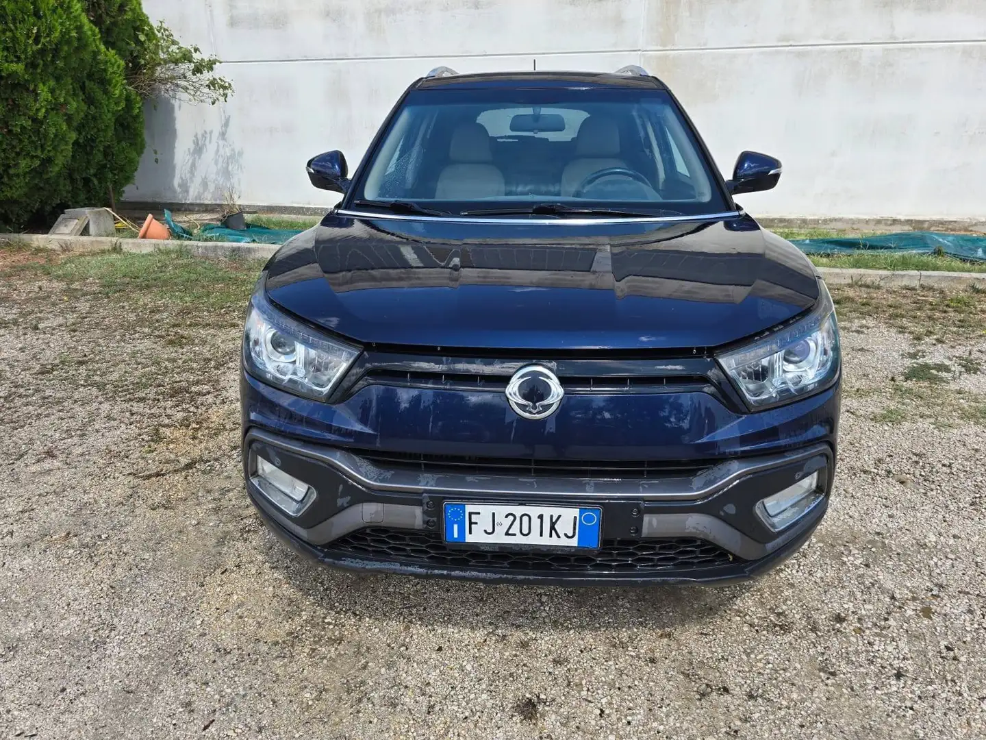 SsangYong XLV XLV 1.6d Start 2wd Blau - 1