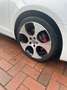 Volkswagen Golf GTI 1.Hand Austauschmotor Weiß - thumbnail 5