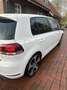 Volkswagen Golf GTI 1.Hand Austauschmotor Weiß - thumbnail 4