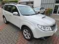 Subaru Forester 2.0 D TREND MT Blanco - thumbnail 5