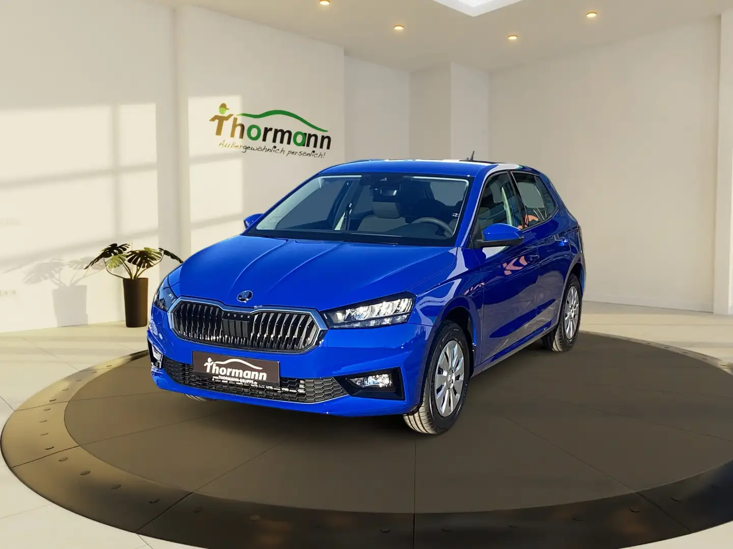 Skoda Fabia 1.0 MPI Essence LED PDC SHZ Blau - 2