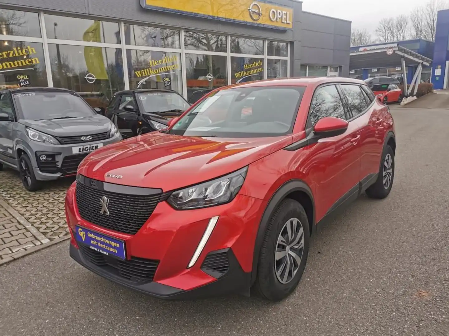 Peugeot 2008 Active Rot - 2