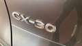 Mazda CX-30 2.5 e-Skyactiv-G Prime Line FWD 103kW - thumbnail 16