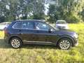 Volkswagen Tiguan 2.0 tdi Business 150cv dsg Noir - thumbnail 4