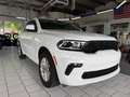 Dodge Durango 3,6 4x4 7 Sitze 8Gang Facelift Leder Weiß - thumbnail 1
