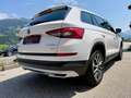 Skoda Kodiaq 2.0 TDI Scout 4x4 DSG 1.Besitz Weiß - thumbnail 15