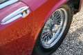 AC Sonstige Frua 428 Coupé "Preserved and well-maintained" "Pr Rot - thumbnail 43