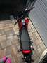 Honda MSX 125 Grom Rouge - thumbnail 4
