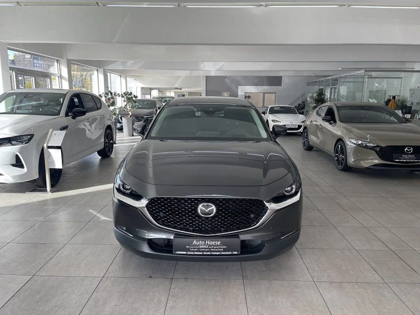 Mazda CX-30 2.0 150PS Selection Des-P Matrix-LED RFK Grau - 2