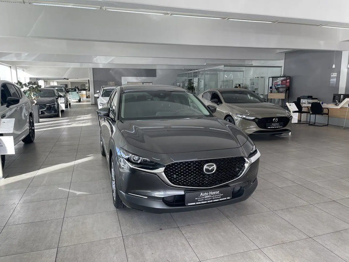 Mazda CX-30 2.0 150PS Selection Des-P Matrix-LED RFK Grau - 1