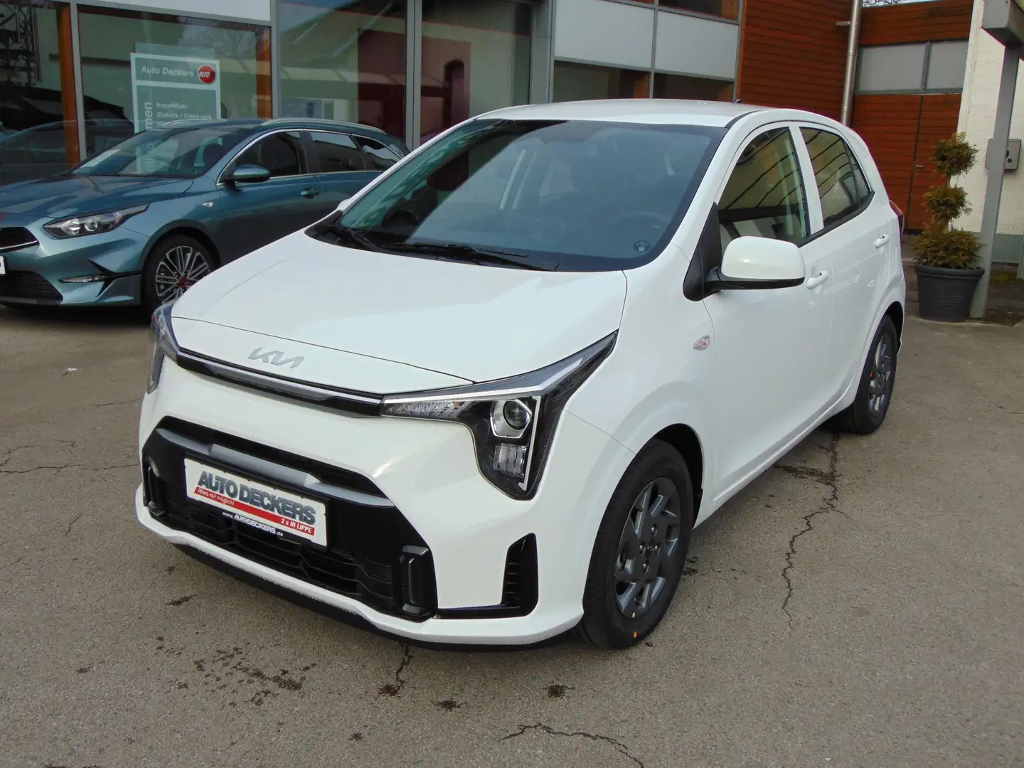 Kia Picanto PICANTO PE2 1.0 MT VISION Weiß - 1
