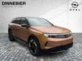 Opel Grandland Electric GS LED+360°+Glasdach+Navi Braun - thumbnail 8
