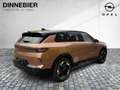 Opel Grandland Electric GS LED+360°+Glasdach+Navi Braun - thumbnail 6