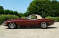 Jaguar E-Type SPIDER Marrone - thumbnail 2