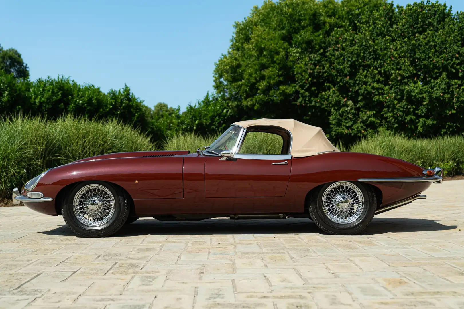 Jaguar E-Type SPIDER Marrone - 2