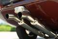 Jaguar E-Type SPIDER Bruin - thumbnail 16