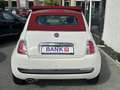 Fiat 500C 1.2l Lounge/Allwetterreifen/Gepflegt- Blanco - thumbnail 4