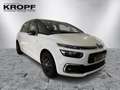 Citroen C4 Picasso /Spacetourer 1.2 PureTech 130 Weiß - thumbnail 6